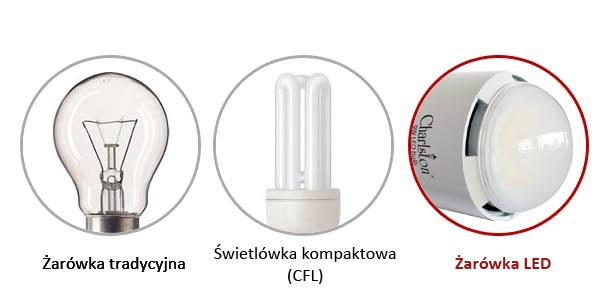 Typy żar&oacute;wek