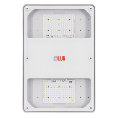 Cruiser 2 LB LED