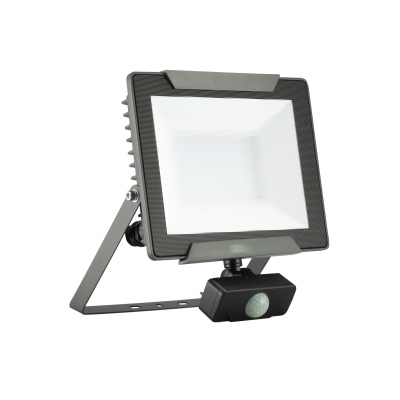 Naświetlacz z czujnikiem ruchu LED PIR IP54, Smart Click