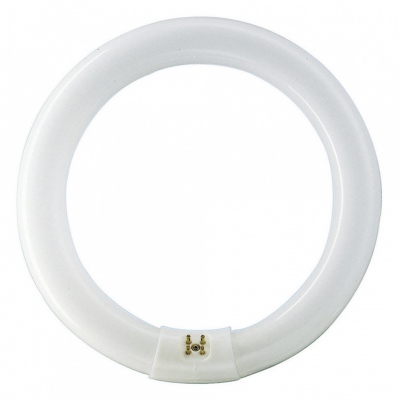 Świetlówka Master TL-E Circular Super 80 40W/840
