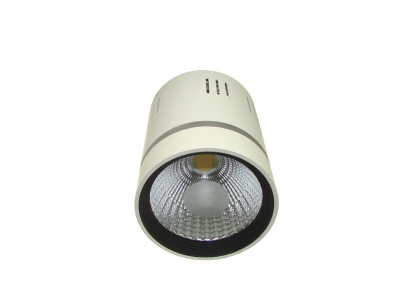 Downlight Led Cob Loner 10w+2w Biały Zimny+czerwon