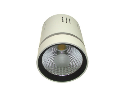 Downlight Led Cob Loner 15w+3w Biały Dzienny+niebi