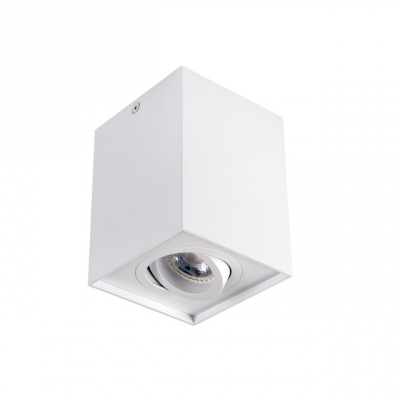 Sufitowa oprawa punktowa Gord Dlp 50-W