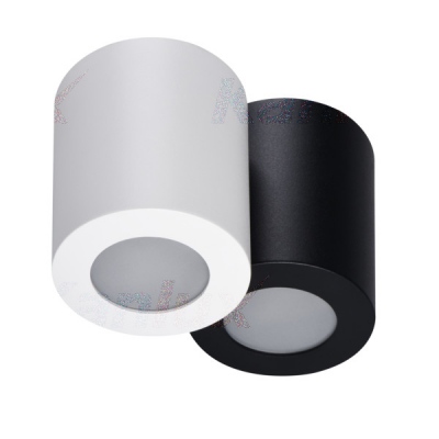 Oprawa sufitowa punktowa Sani Ip44 Dso-w