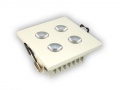 Downlight Led Power Gaby  4*1w Biały Ciepły